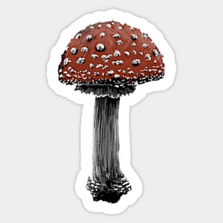 Amanita Muscaria Mushroom (II) Sticker